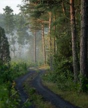 sumuinen-kesaaamu-saaristossa
