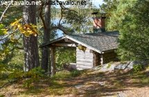 luontoon-istutettu-kesakeittio