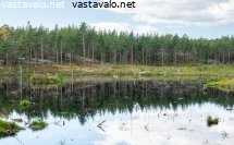 soderlngvikin-kartanon-kunnostettu-kosteikko