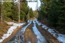 metsaautotie-kevattalvella