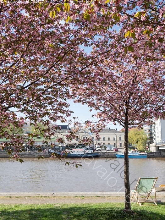 Turku Rannat Kuva: Kevät kaupungissa - Turku kaupunki Aurajoki ranta rannat ...