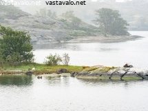 sumuinen-syyspaiva-saaristossa