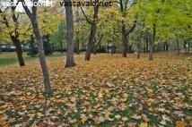 syksyinen-puisto