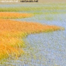 varikas-syksy-jarvella