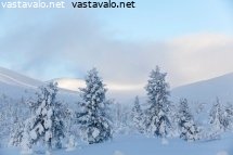pallas-talvella