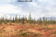 maisema-lapissa