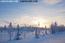 aurinkoinen-lappi