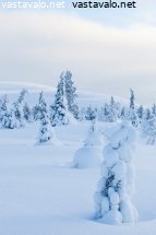 pehmea-koskematon-hanki