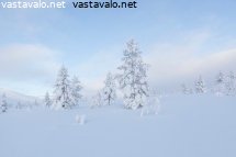 sininen-tunturimaisema