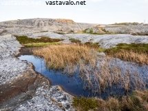 ulkosaariston-luonto