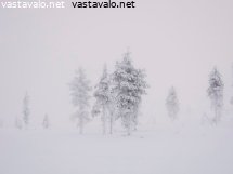usvainen-tunturi