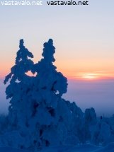 varikas-ilta