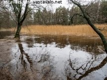 tulvavesi