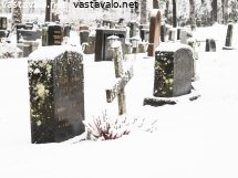 hautausmaa