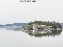 saari