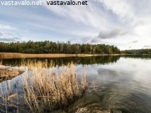 tumma-syys