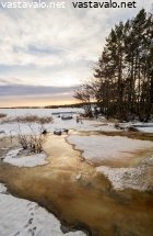 humuspitoinen-valumajalki