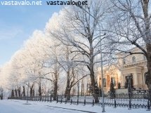 piispantalon-puisto