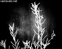 aitaa-vasten