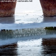 talvi