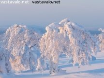 aurinkoinen-talvipaiva