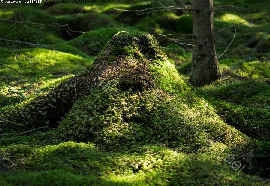 kuva-maahinen-maahinen-maanv-ki-mielikuvitushahmo-mielikuvitus-hahmo