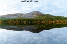 kellostapuli