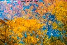 syksyn-varimaailmaa5