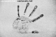 kadenjalki