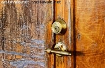 ovea