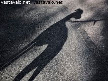 koiran-varjo