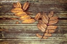 syystunnelmaa