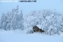 lato-lumen-keskella