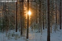 auringon-kurkistus