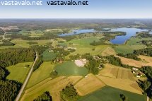 koivisto
