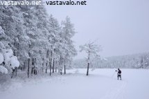 hiihtaja