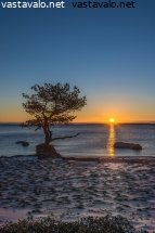 auringonnousun-aikaan