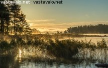 aamun-valo