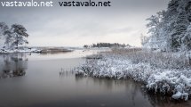 ranta