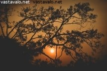 auringonlasku