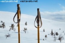 hiihtosauvat