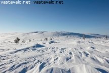 avaraa-tunturimaastoa