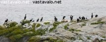 karimetsot