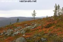 otsamotunturin-rinnetta