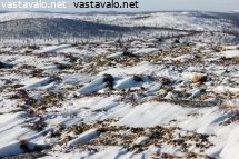 paljakkaa-hammastunturin-alueella