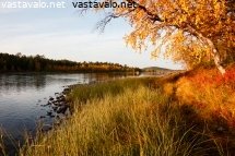 syksyn-vareja