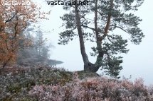 syyskuun-usvainen-aamu