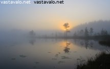 auringonnousu-lammella