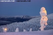 tunturin-vartija