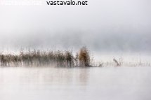 sumuinen-aamu